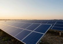 Українські сонячні панелі: чому їх немає на ринку у 2026 Українські сонячні панелі на промисловій СЕС серед поля на заході сонця